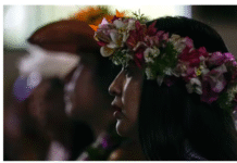 Île de Pâques : un médicament d’ une valeur d’un milliard de dollars a été découvert