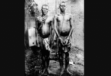 Héritage colonial : Applaudir en rampant depuis 1960 — conversation idéologique sur la servitude volontaire