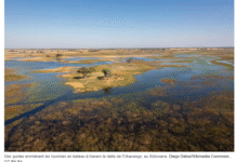 Le tourisme de luxe est une stratégie risquée pour les économies africaines