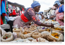 Taxer les économies informelles africaines