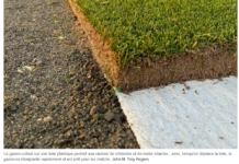 Terrain pour la plus grande Coupe du monde de football de tous les temps