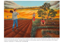 Cuba : l’agroécologie pour éviter l’effondrement alimentaire