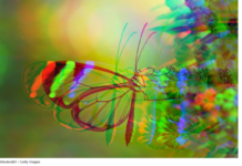 Un super-hacker en IA met le monde de la tech en alerte