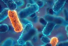 Ce que pourrait signifier une « ère post-antibiotique » pour la médecine moderne