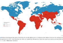 Dans un ordre mondial fracturé, quelle place occupe le Sud global ?