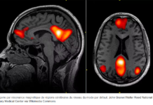 Comment fonctionne la conscience individuelle