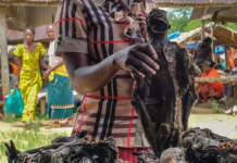 Afrique centrale : le dilemme de la viande sauvage – interdictions pures et simples menacent la sécurité alimentaire de millions de personnes