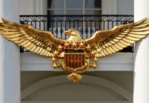 États-Unis : fêtent leurs 250 ans