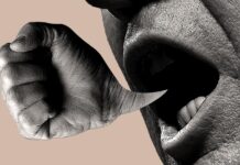 Le débat du caniveau à la place d’une réflexion sur l’inclusion, l’exclusion par groupe et l’économie politique de la citoyenneté
