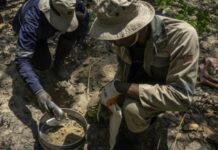 RDC — KoBold : l’IA américaine apprend le sous-sol congolais avant les Congolais