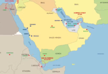 Yemen : profondes divisions au sein des BRICS