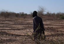 Nigeria : risque de connaître le plus grand nombre de décès au monde en raison de la chaleur extrême liée à El Niño