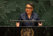 RDC-ONU : plaide en victime quand elle devrait s’imposer en État