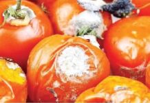 Nigeria : Dangote entre en Bourse pendant que la pauvreté met les aliments condamnés à table