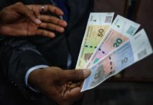 Zimbabwe : la technologie seule ne suffira pas à sauver le ZiG
