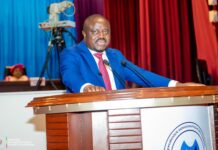 RDC : Muhindo Nzangi et ce que l’Islande a compris de l’État numérique