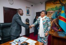 RDC : Suminwa et Mukoko, deux brevetés en économie qui semblent avoir séché les cours sur les rudiments du libre marché
